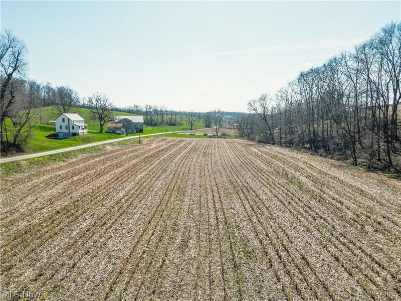 Endlich Road, Fresno, OH 43840 Photo 5