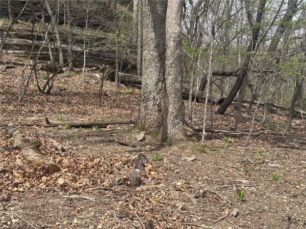 Lot 35 Dogwood Drive , Garfield, AR 72732