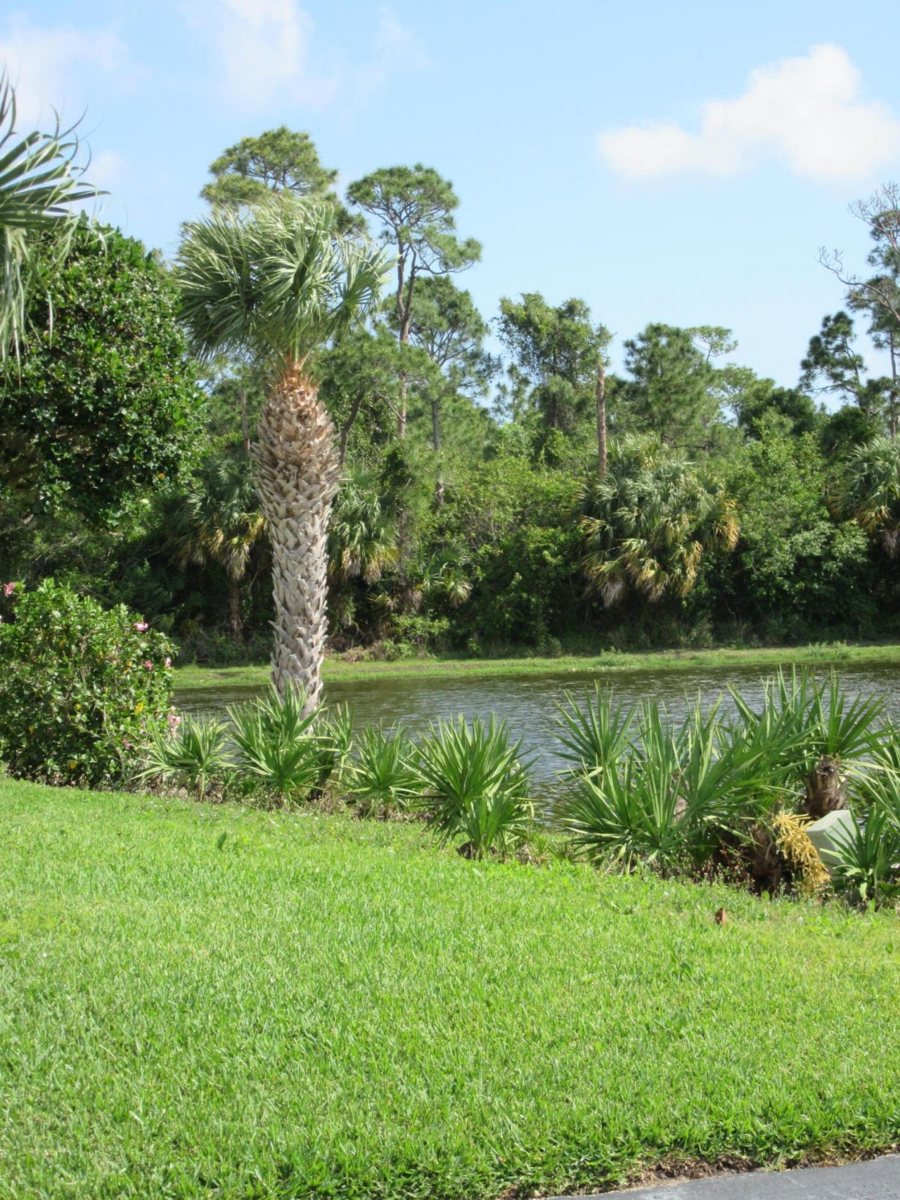 1 Lake Vista Trail, Unit 201, Port Saint Lucie, FL 34952 Photo