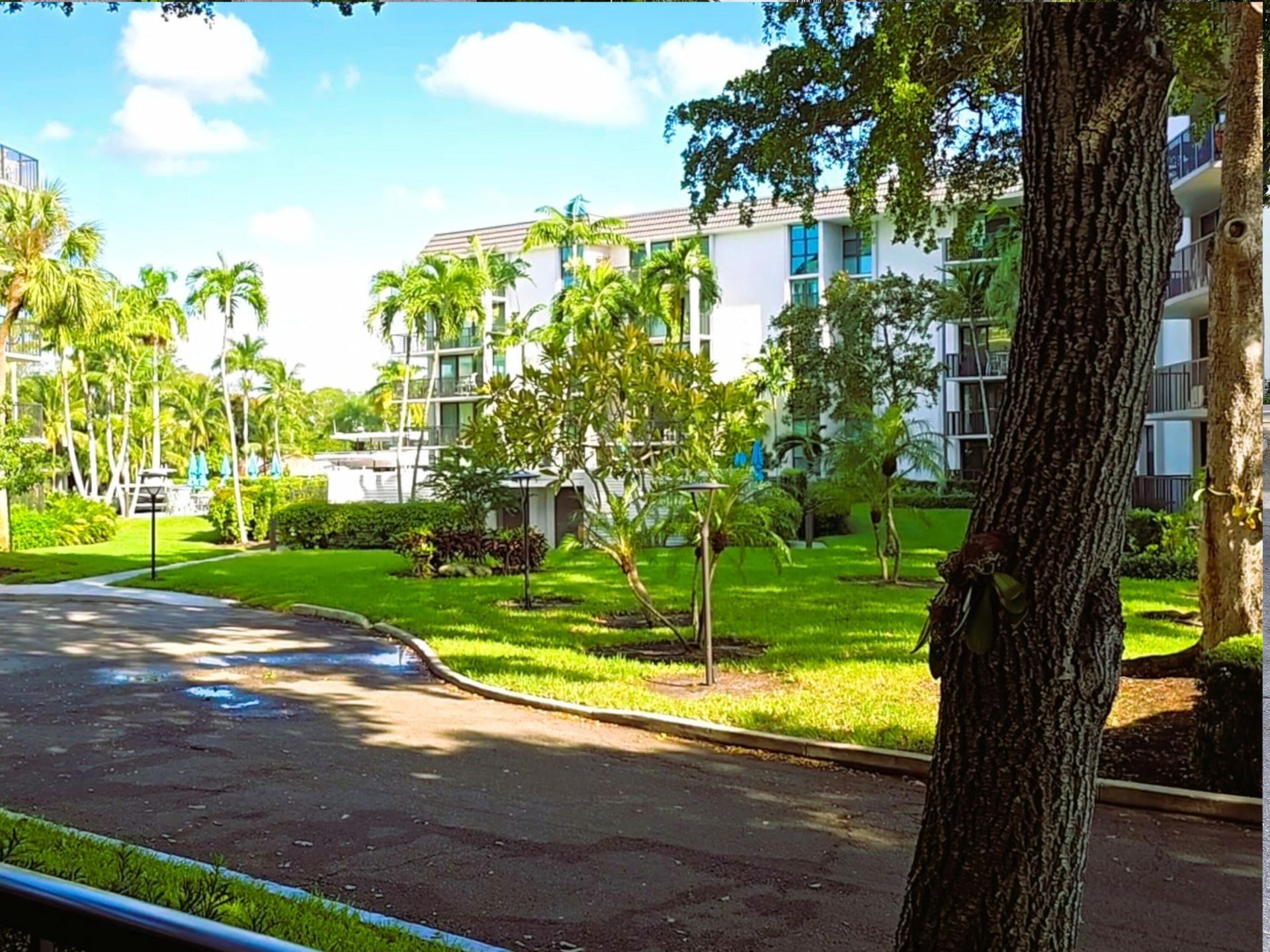 1350 River Reach Drive, Unit 115, Fort Lauderdale, FL 33315 Photo