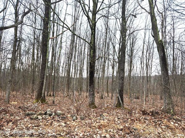 Tbd Irish Cape Road, Ellenville, NY 12428