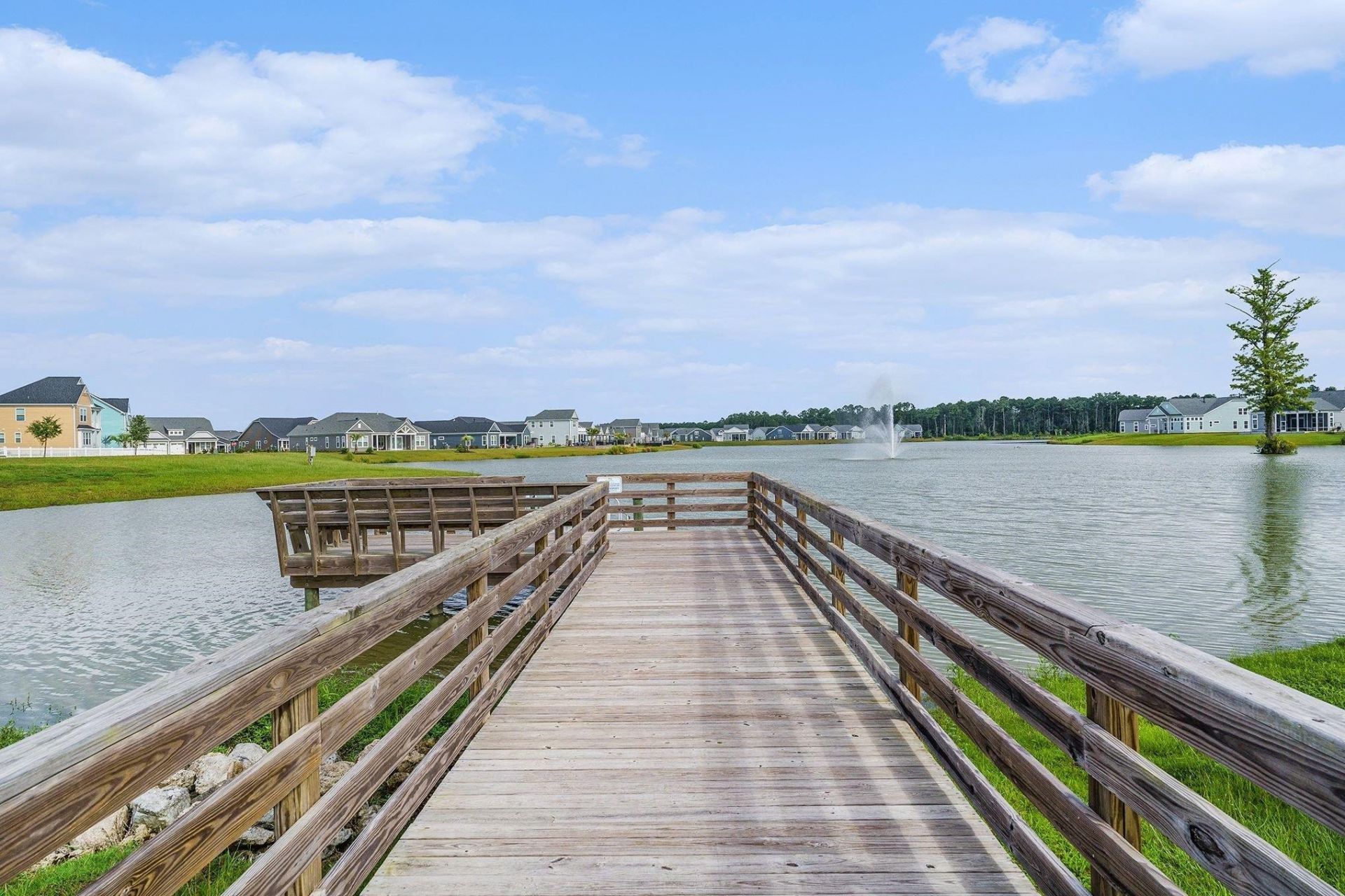 2019 Singing Palm Loop Photo 40