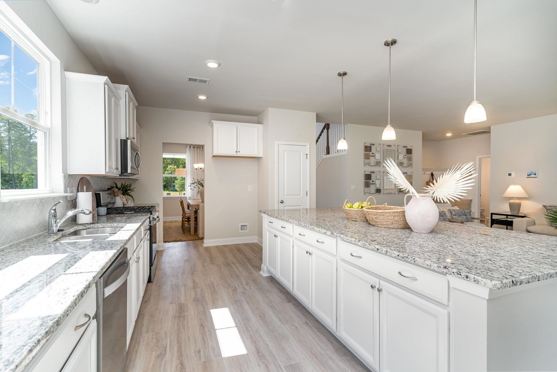 228 Blueberry Fields Ct. Photo 8