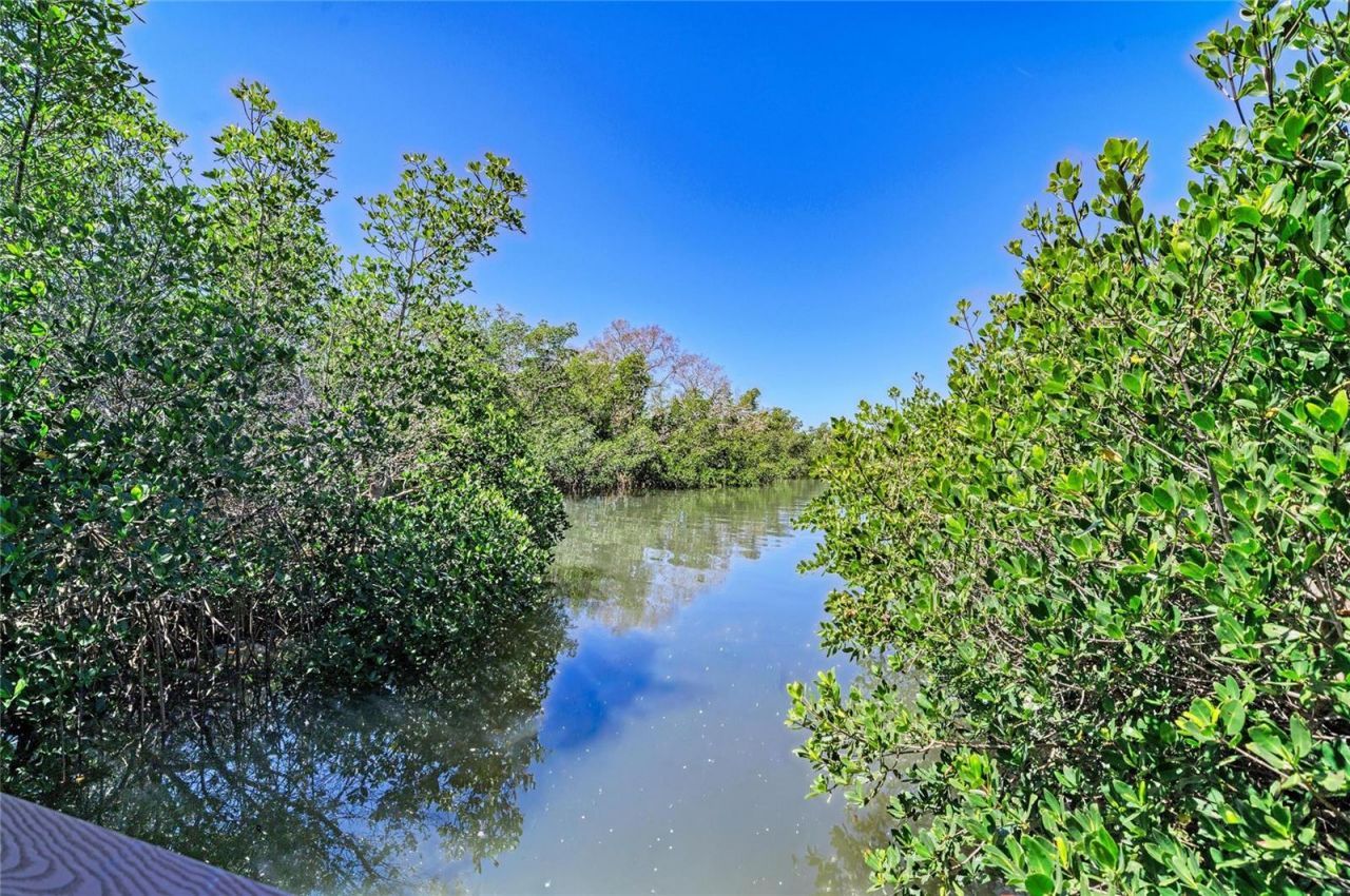 5611 Us Highway 19, Palmetto, FL 34221 Photo