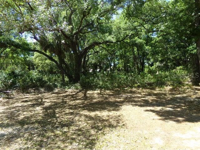 3901 Church Arbor Avenue , Unit B6, Tampa, FL 33614 Photo