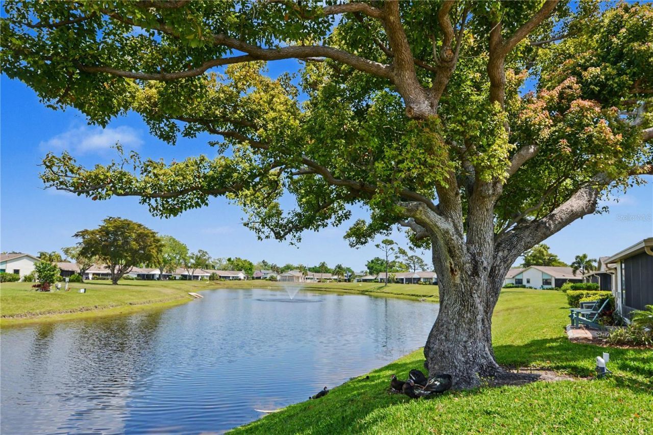 6220 29th Avenue W, Unit 6220, Bradenton, FL 34209 Photo