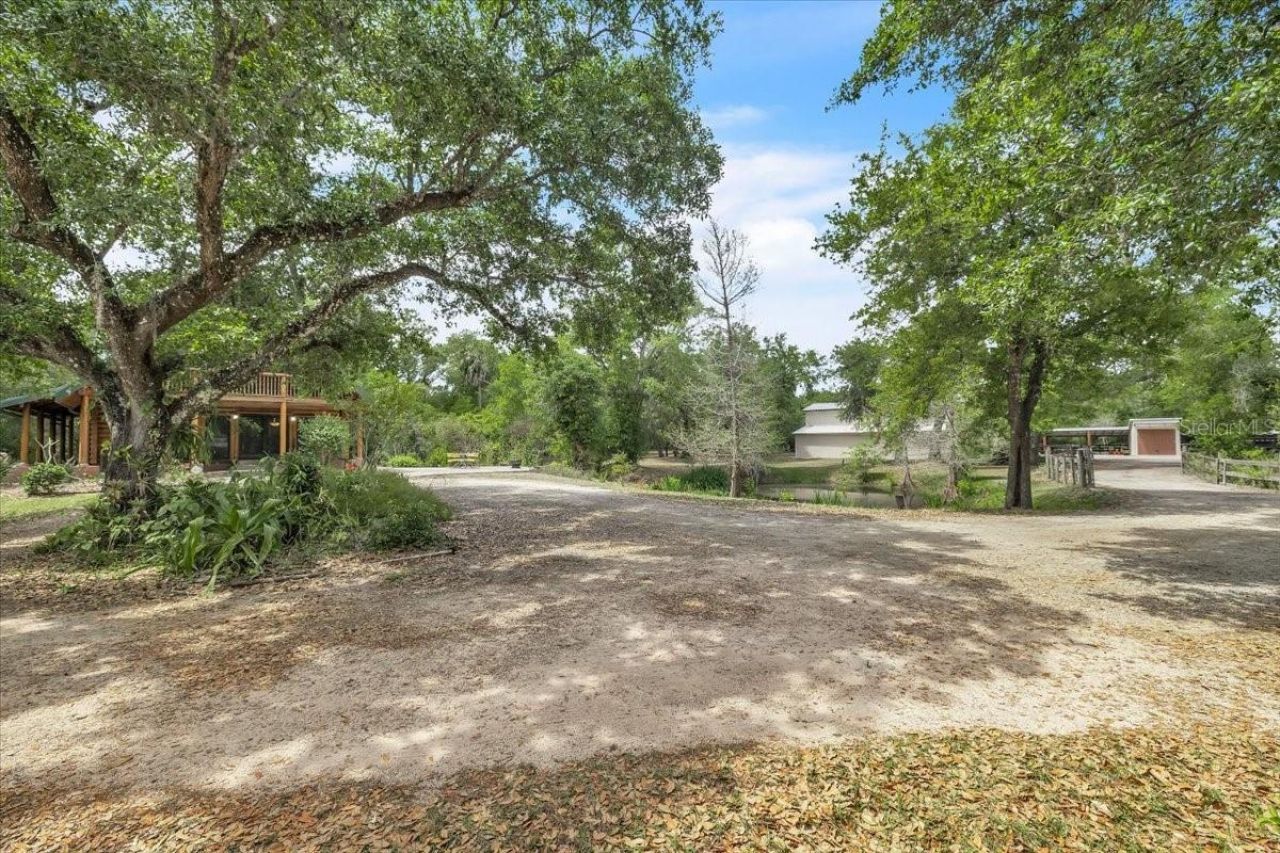 1807 NW Owens Avenue, Arcadia, FL 34266 Photo