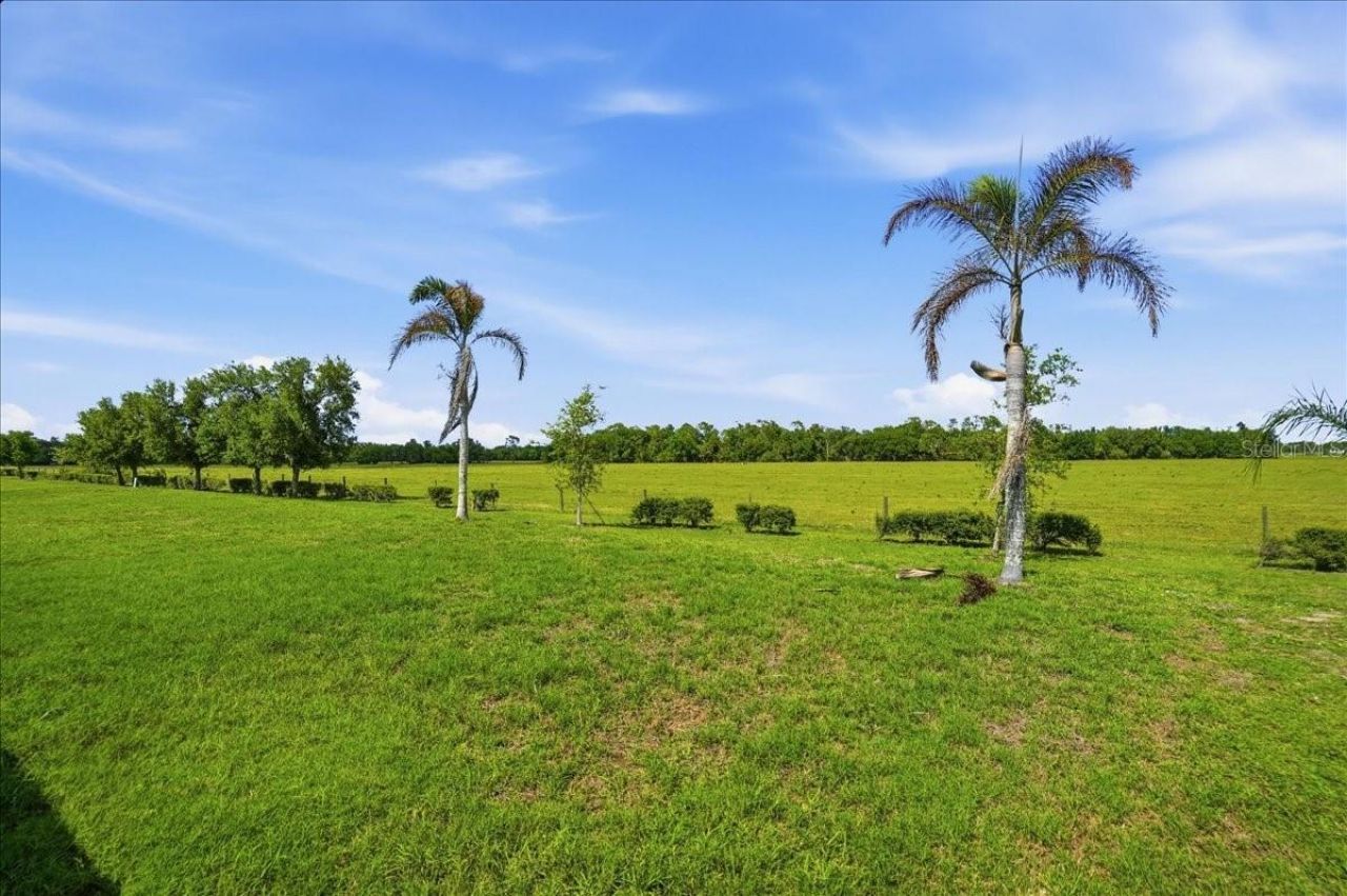 15769 High Bell Place, Bradenton, FL 34212 Photo