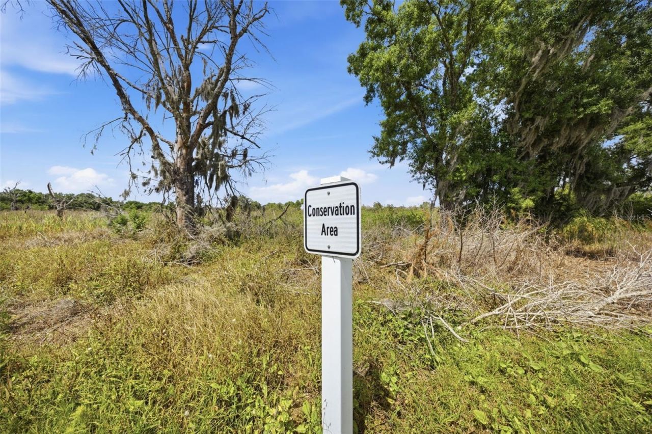 18026 Fattoria Terrace, Bradenton, FL 34211 Photo