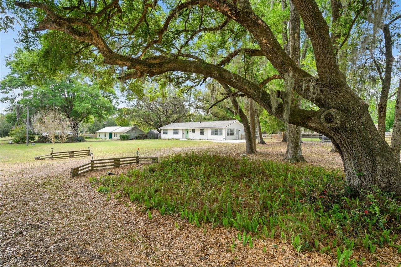 6820 SW 78th Street, Gainesville, FL 32608 Photo