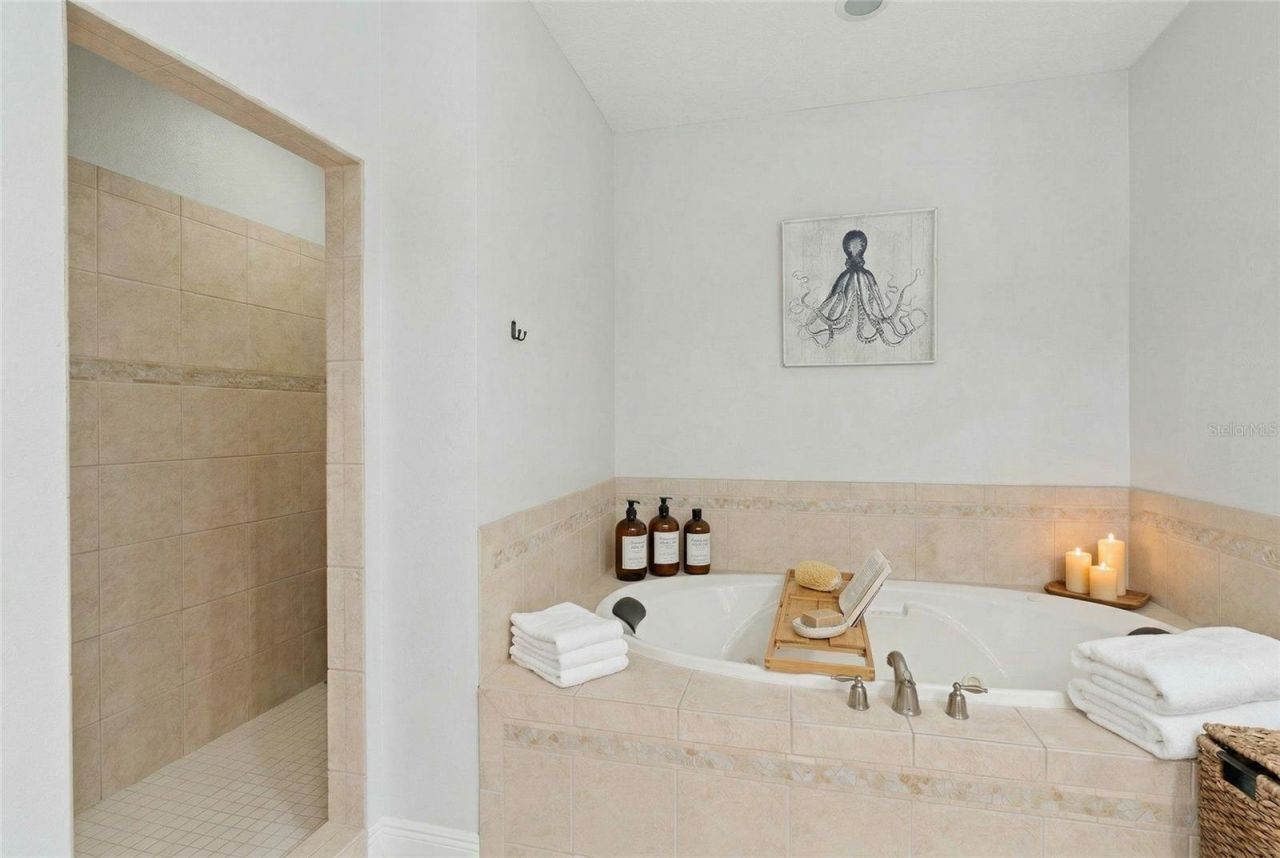 16805 Beauclaire Court, Tavares, FL 32778 Photo