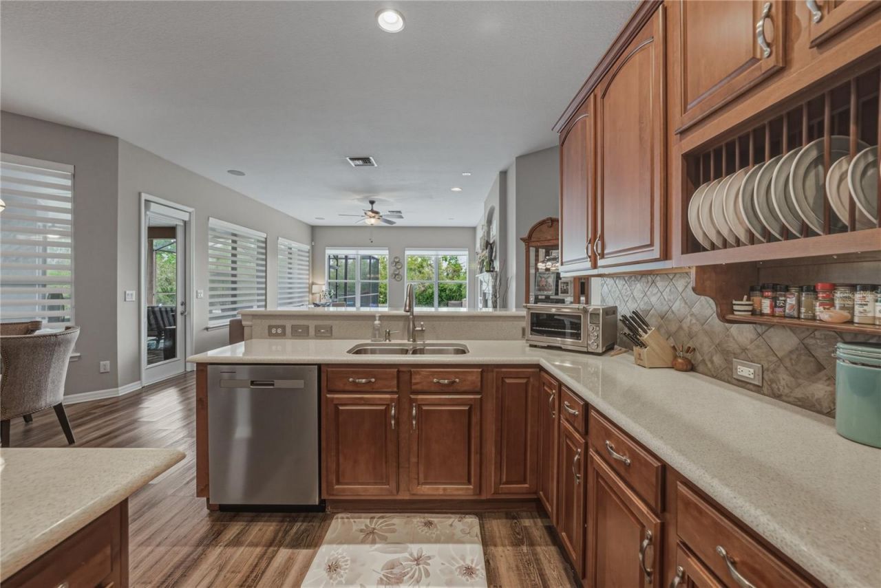 19743 Prince Benjamin Drive, Lutz, FL 33549 Photo