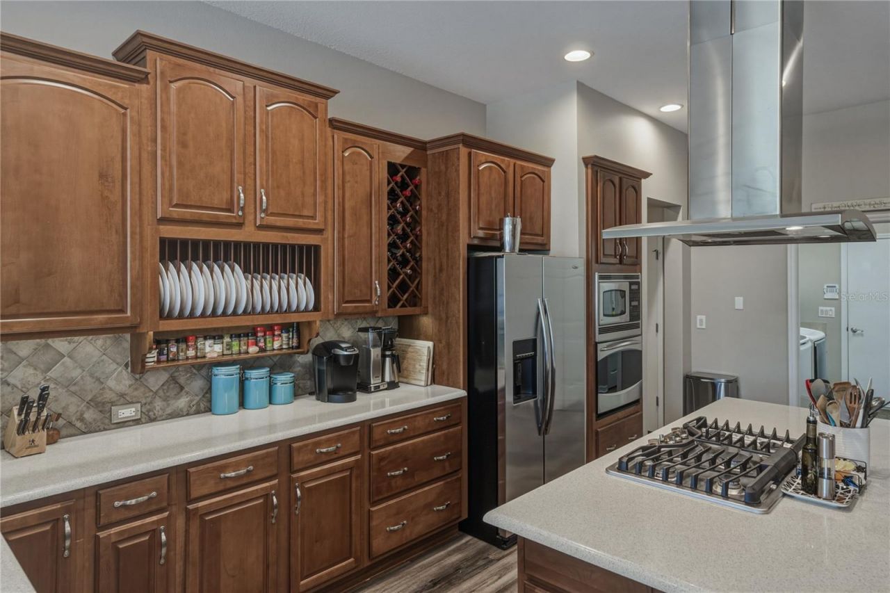 19743 Prince Benjamin Drive, Lutz, FL 33549 Photo