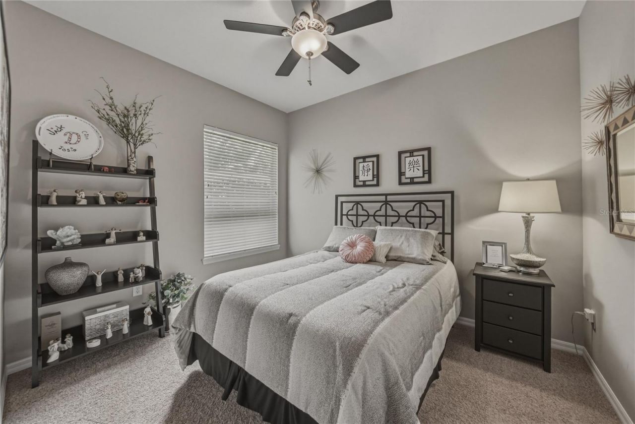 19743 Prince Benjamin Drive, Lutz, FL 33549 Photo