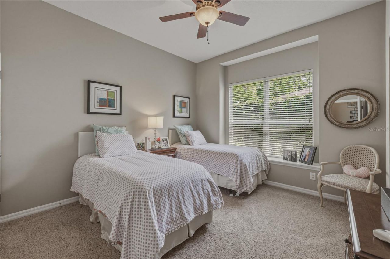 19743 Prince Benjamin Drive, Lutz, FL 33549 Photo