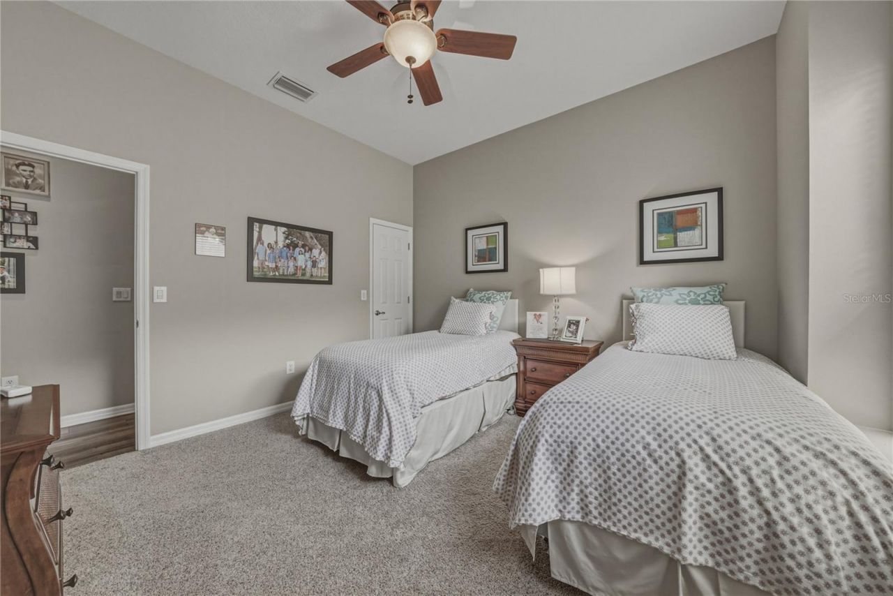 19743 Prince Benjamin Drive, Lutz, FL 33549 Photo