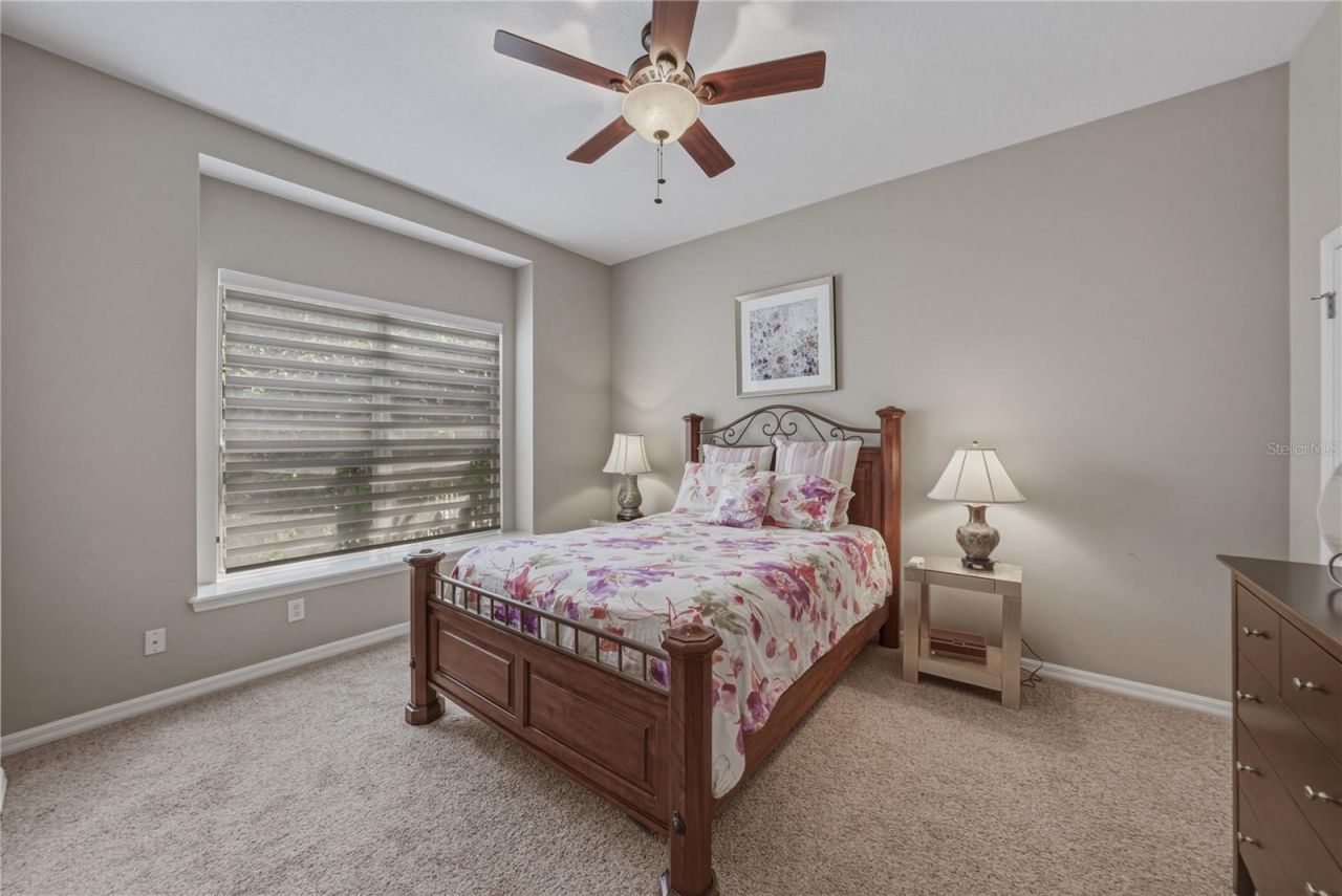 19743 Prince Benjamin Drive, Lutz, FL 33549 Photo