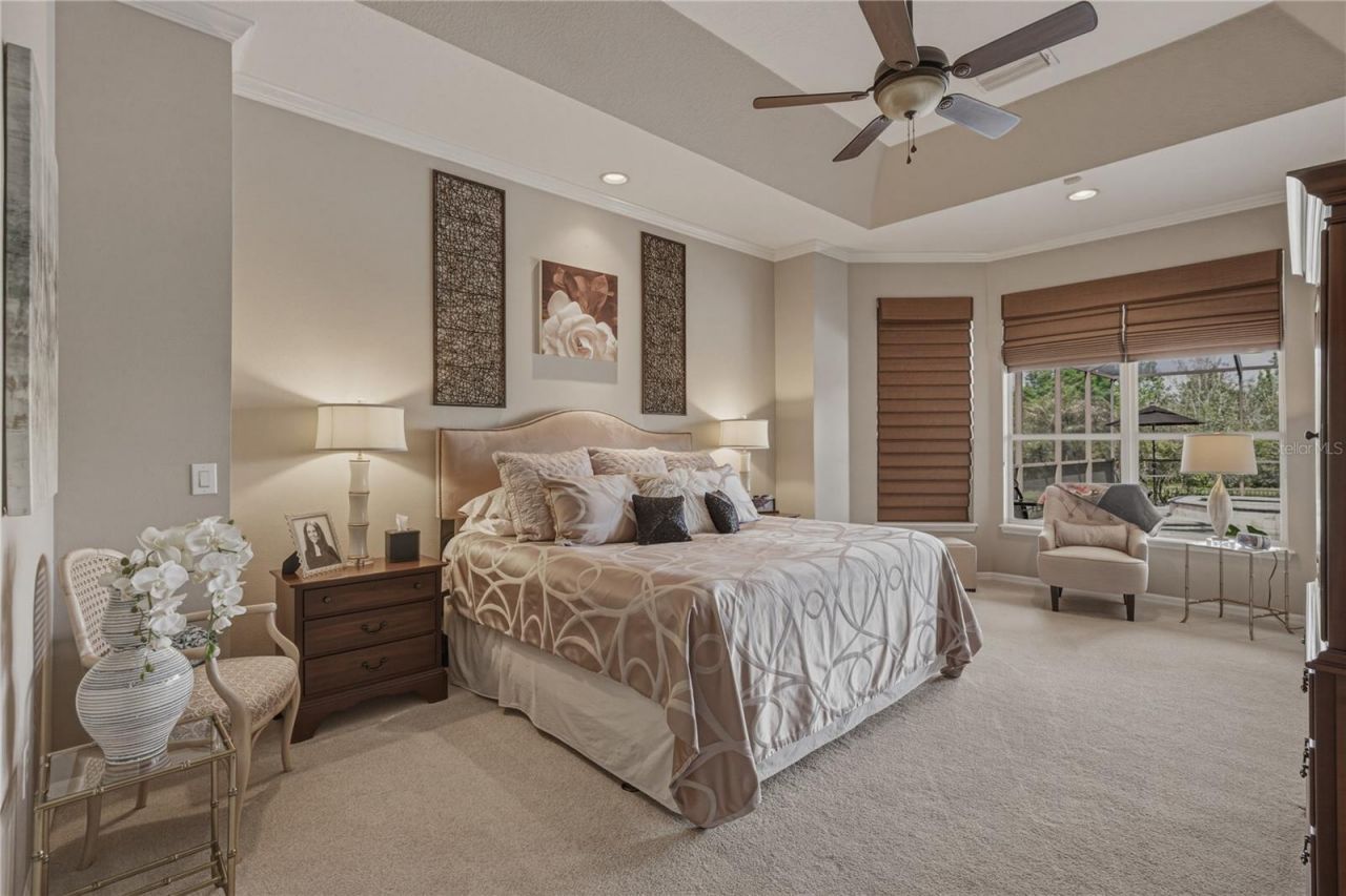 19743 Prince Benjamin Drive, Lutz, FL 33549 Photo