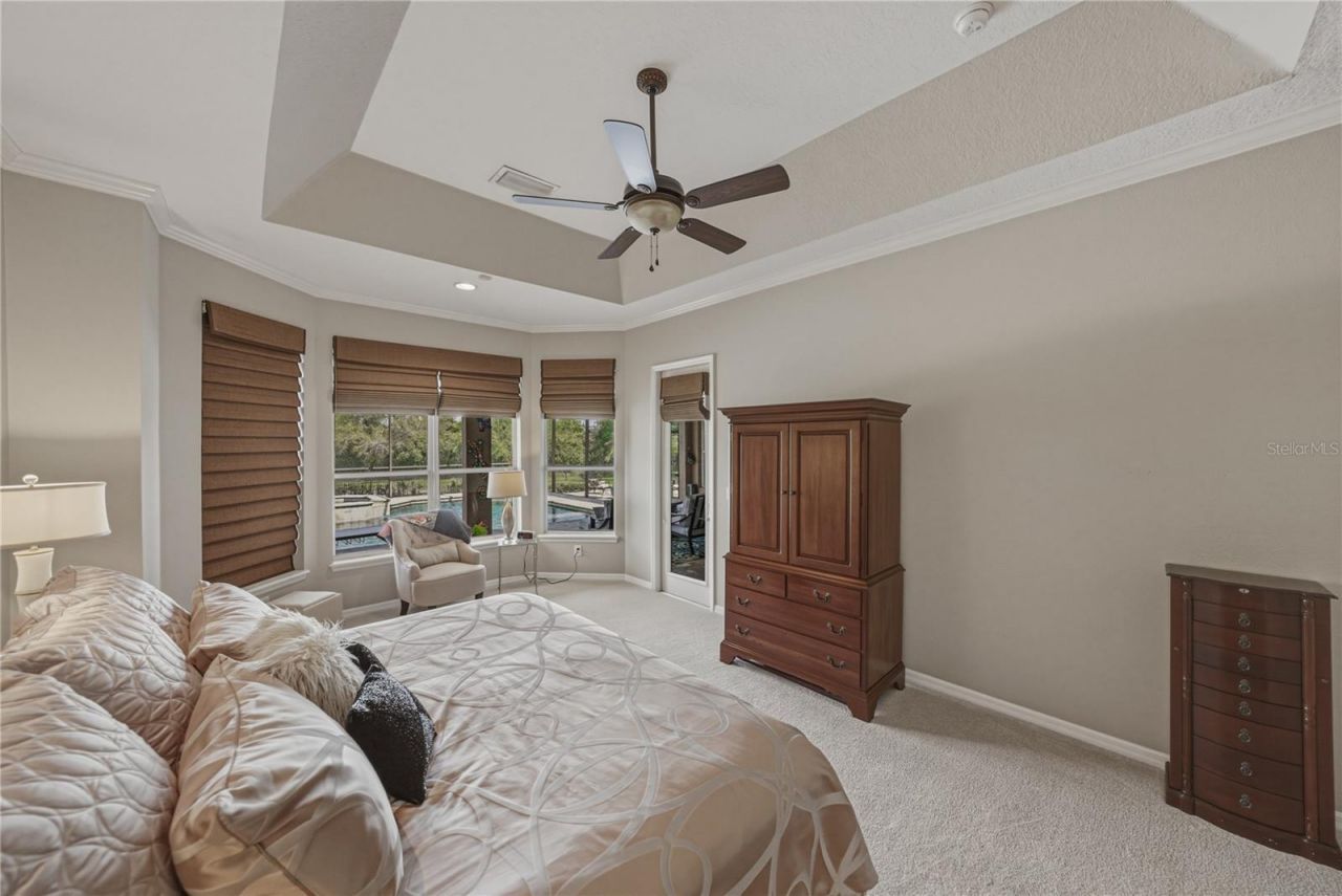 19743 Prince Benjamin Drive, Lutz, FL 33549 Photo