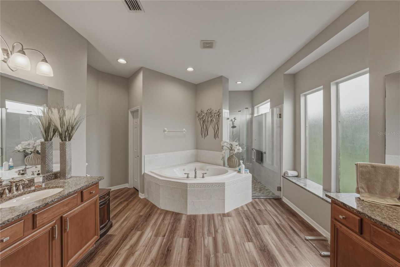 19743 Prince Benjamin Drive, Lutz, FL 33549 Photo