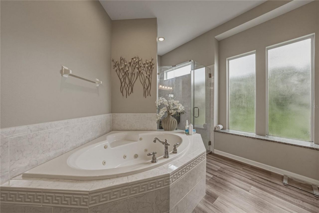 19743 Prince Benjamin Drive, Lutz, FL 33549 Photo