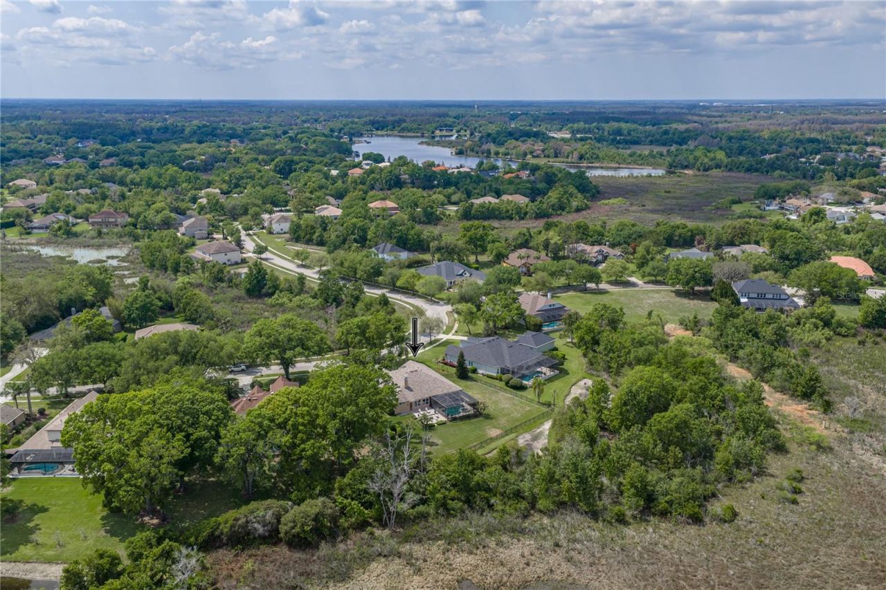 19743 Prince Benjamin Drive, Lutz, FL 33549 Photo