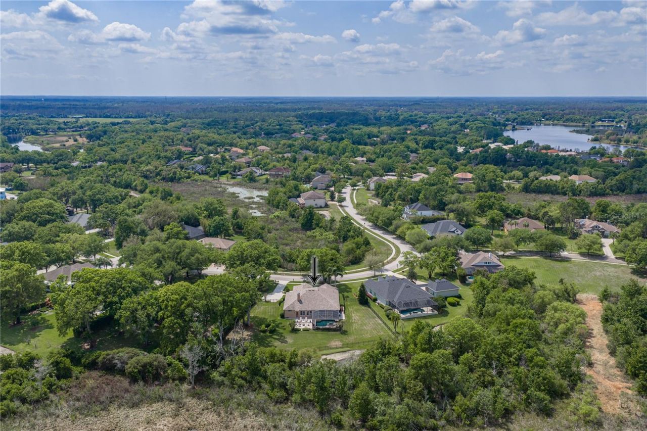 19743 Prince Benjamin Drive, Lutz, FL 33549 Photo