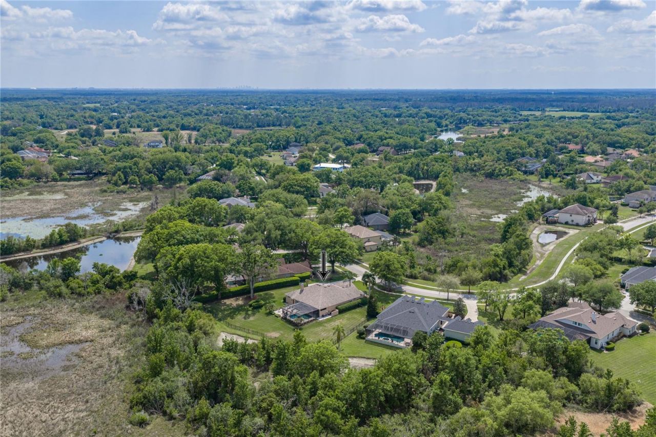 19743 Prince Benjamin Drive, Lutz, FL 33549 Photo