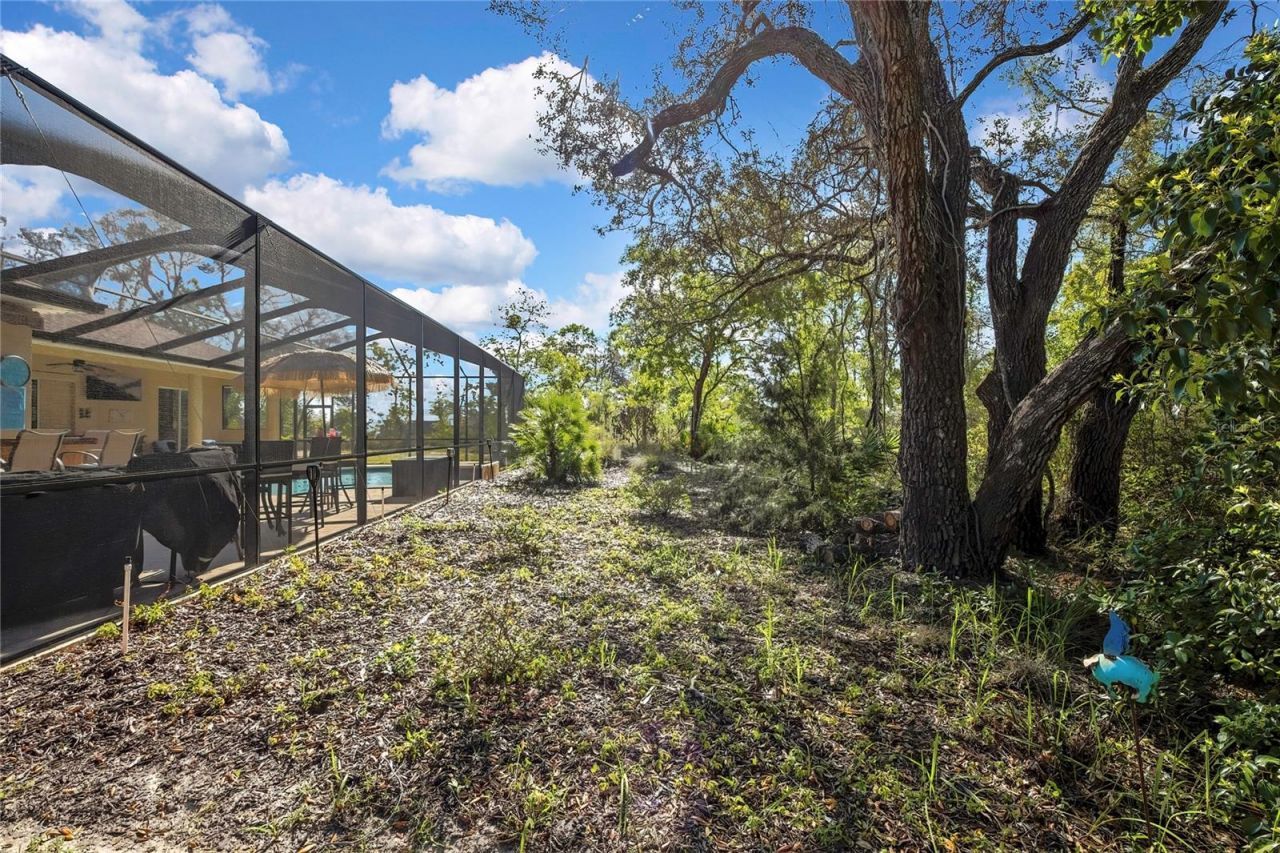 13020 Osprey Avenue , Weeki Wachee, FL 34614 Photo