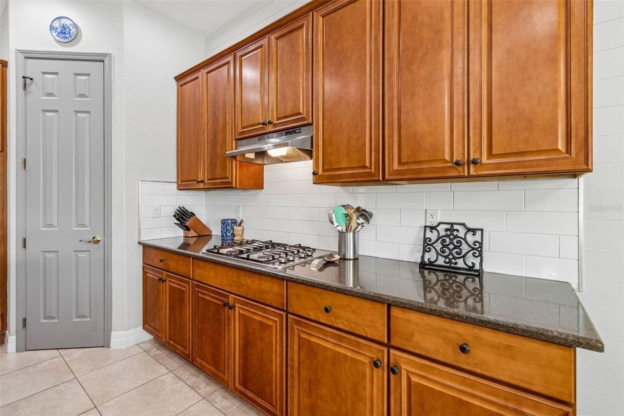 11830 Newberry Grove Loop, Riverview, FL 33579 Photo