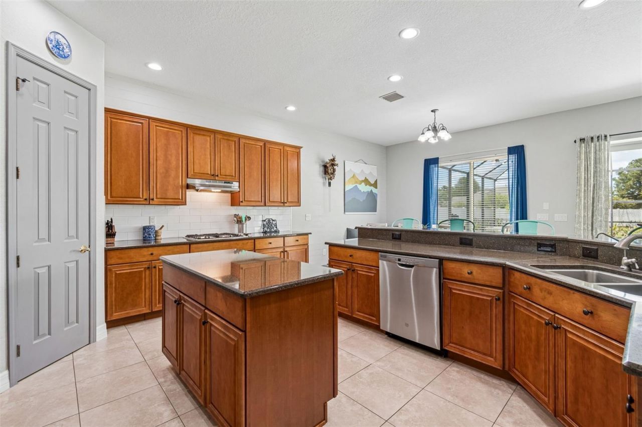 11830 Newberry Grove Loop, Riverview, FL 33579 Photo