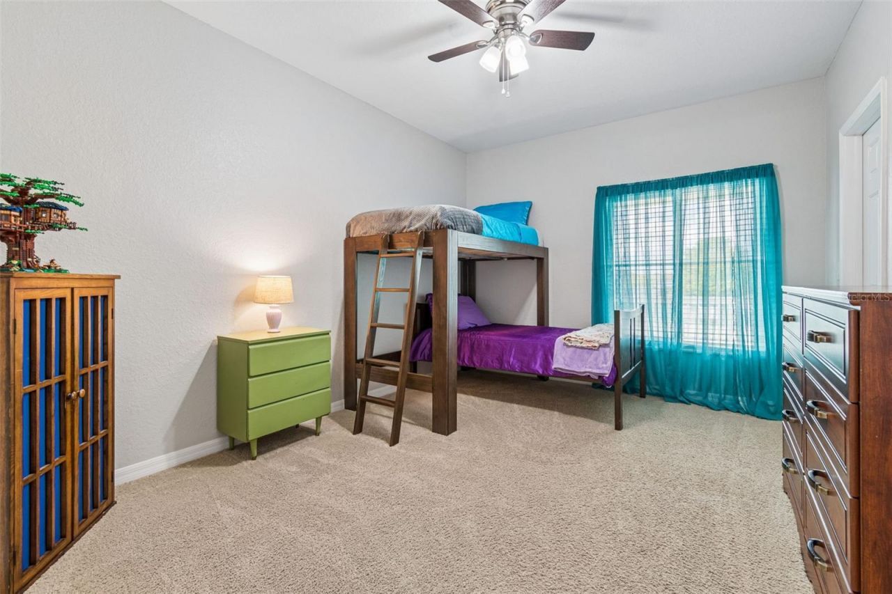 11830 Newberry Grove Loop, Riverview, FL 33579 Photo