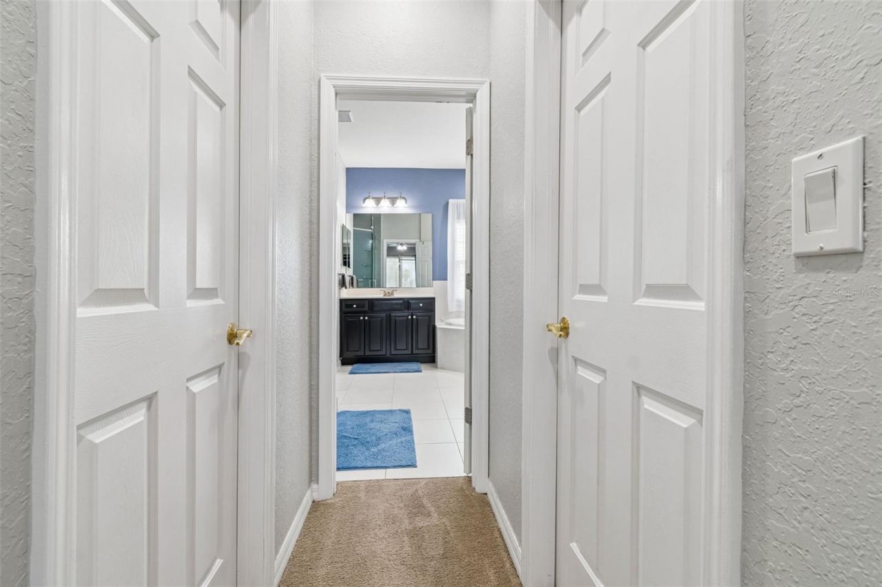 11830 Newberry Grove Loop, Riverview, FL 33579 Photo