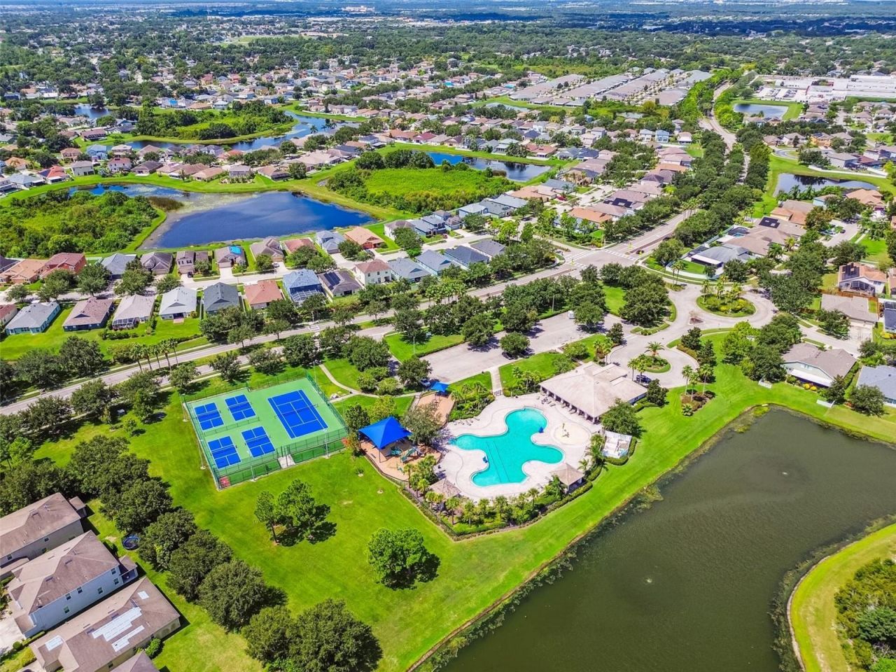 11830 Newberry Grove Loop, Riverview, FL 33579 Photo