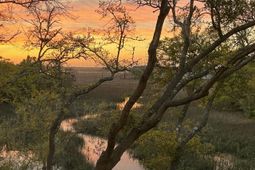 2020 Long Bend photo 4