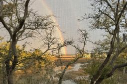 2020 Long Bend photo 4