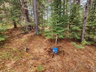 80064 Osprey Pass, Tower, MN 55790