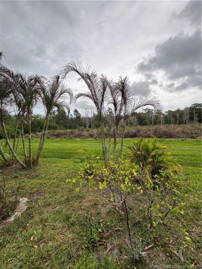 1509 SE Belcrest Street, Port Saint Lucie, FL 34952 Photo