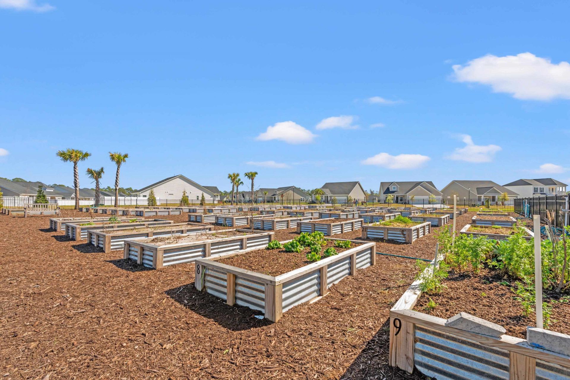 274 Augusta Green Way  Photo 31