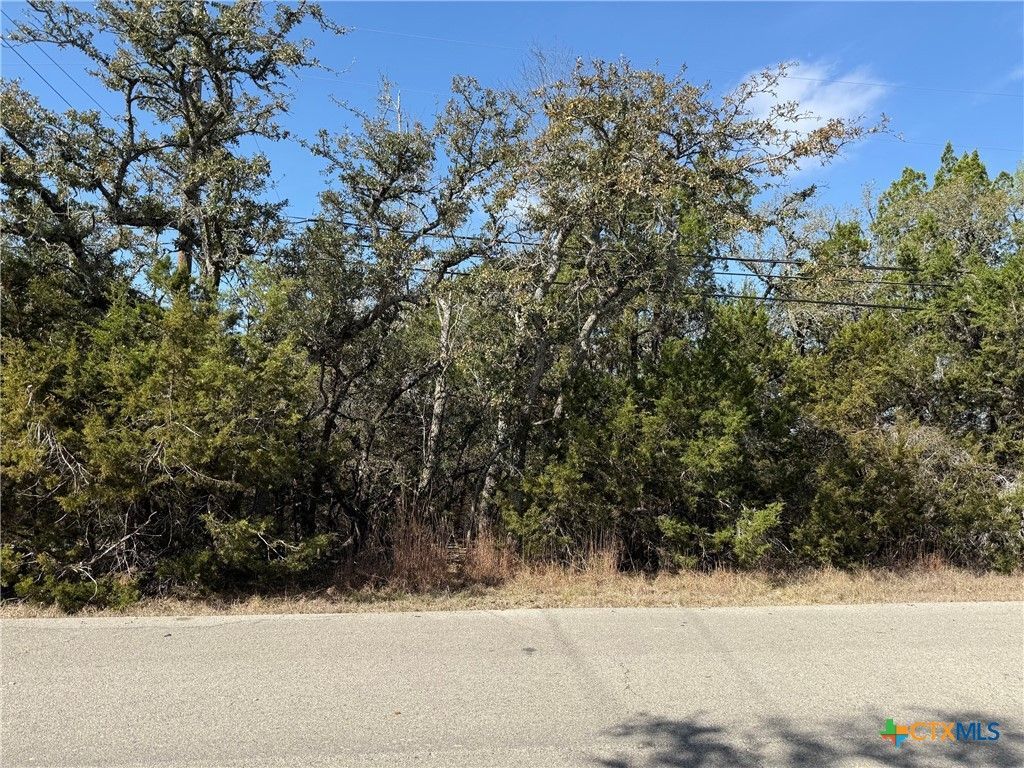 1252 Lake Bluff, Canyon Lake, TX 78133 Main Photo