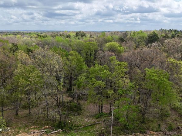 Mississippi 7 , Holly Springs, MS 38635