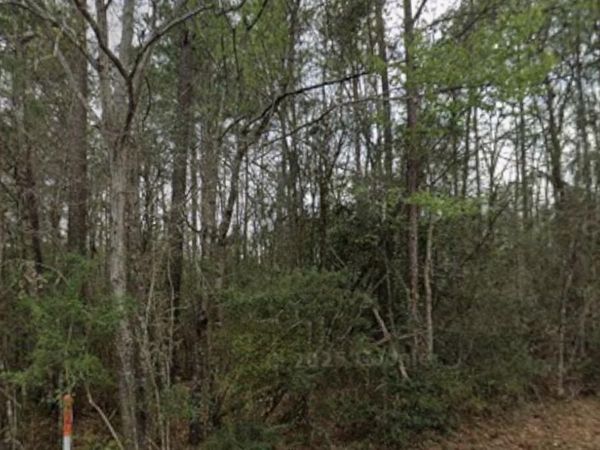 Mixon Lake Road , Lucedale, MS 39452