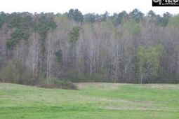 0 Darby Ambrose Lane photo 4