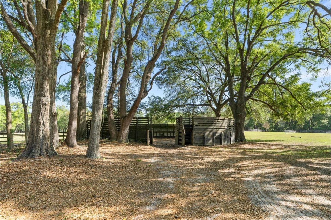 16525 SW 5th Place, Newberry, FL 32669 Photo