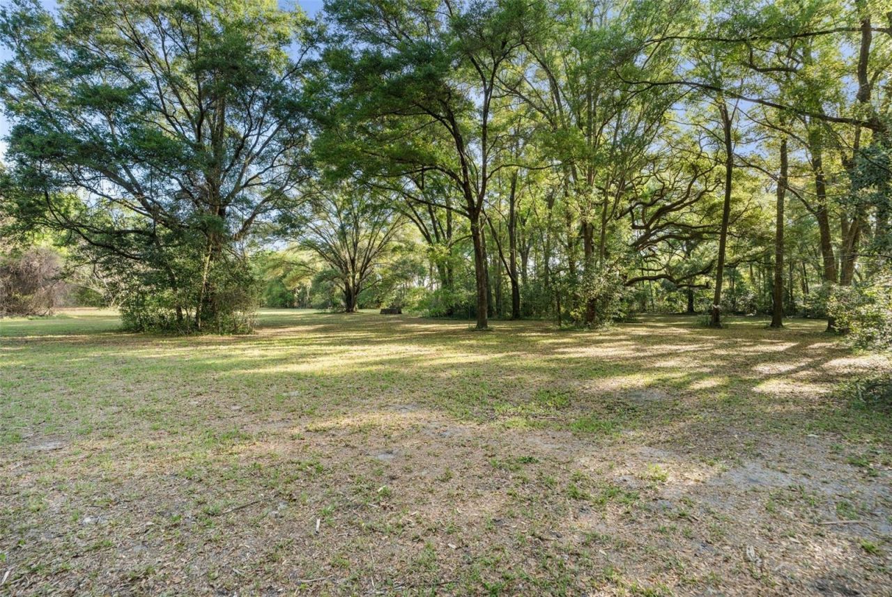 16525 SW 5th Place, Newberry, FL 32669 Photo