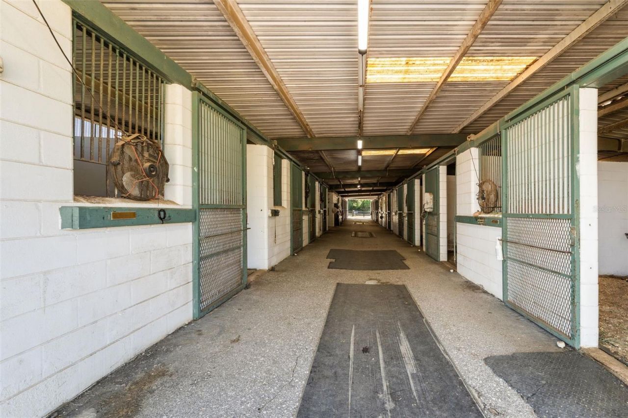 16525 SW 5th Place, Newberry, FL 32669 Photo