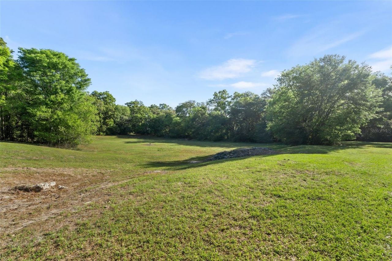 16525 SW 5th Place, Newberry, FL 32669 Photo