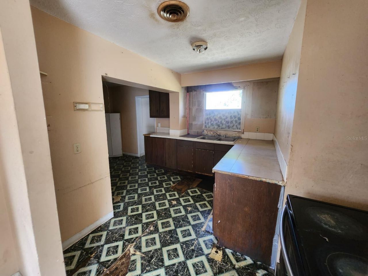 910 Emerald Drive , Mount Dora, FL 32757 Photo