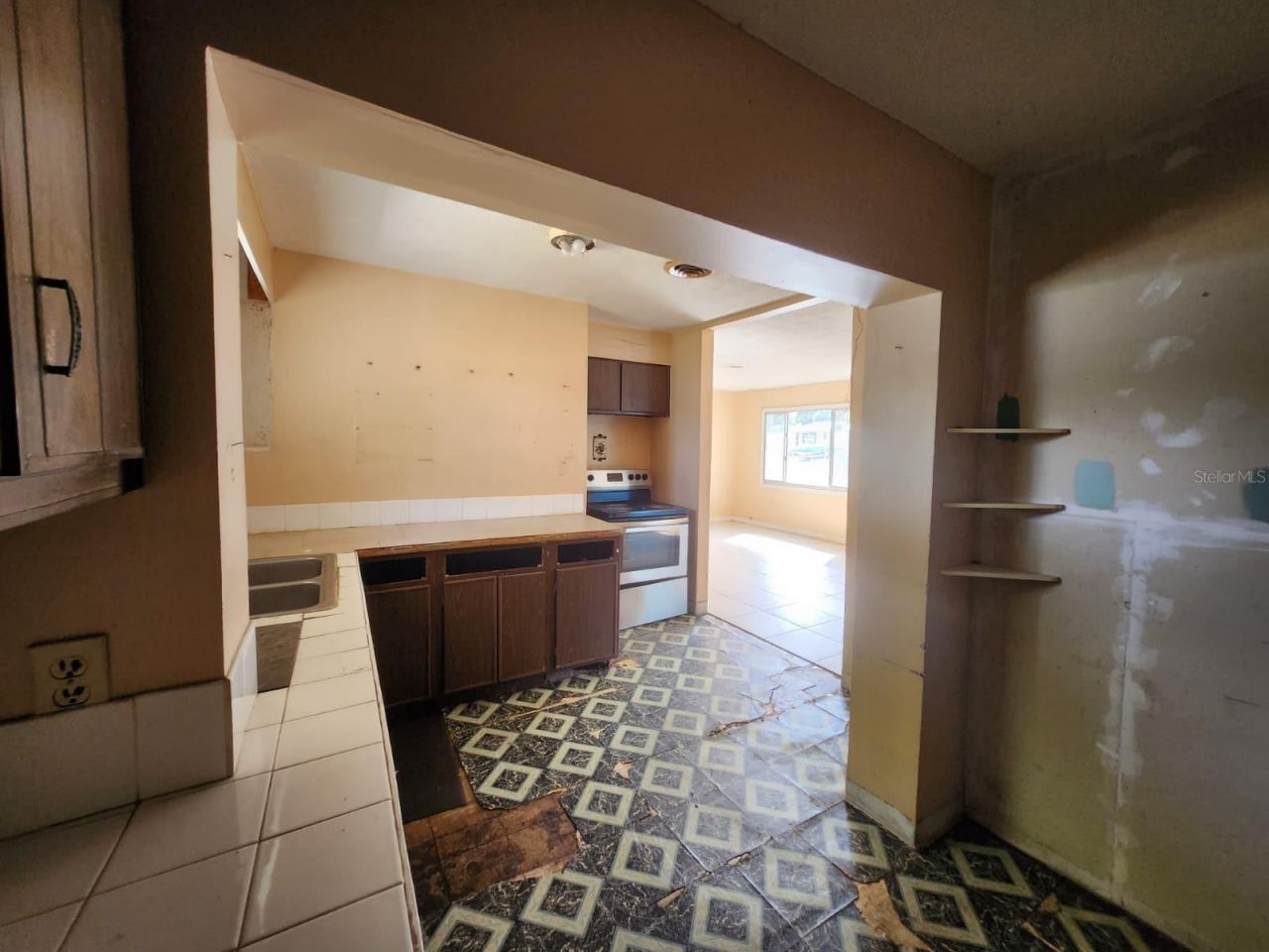 910 Emerald Drive , Mount Dora, FL 32757 Photo