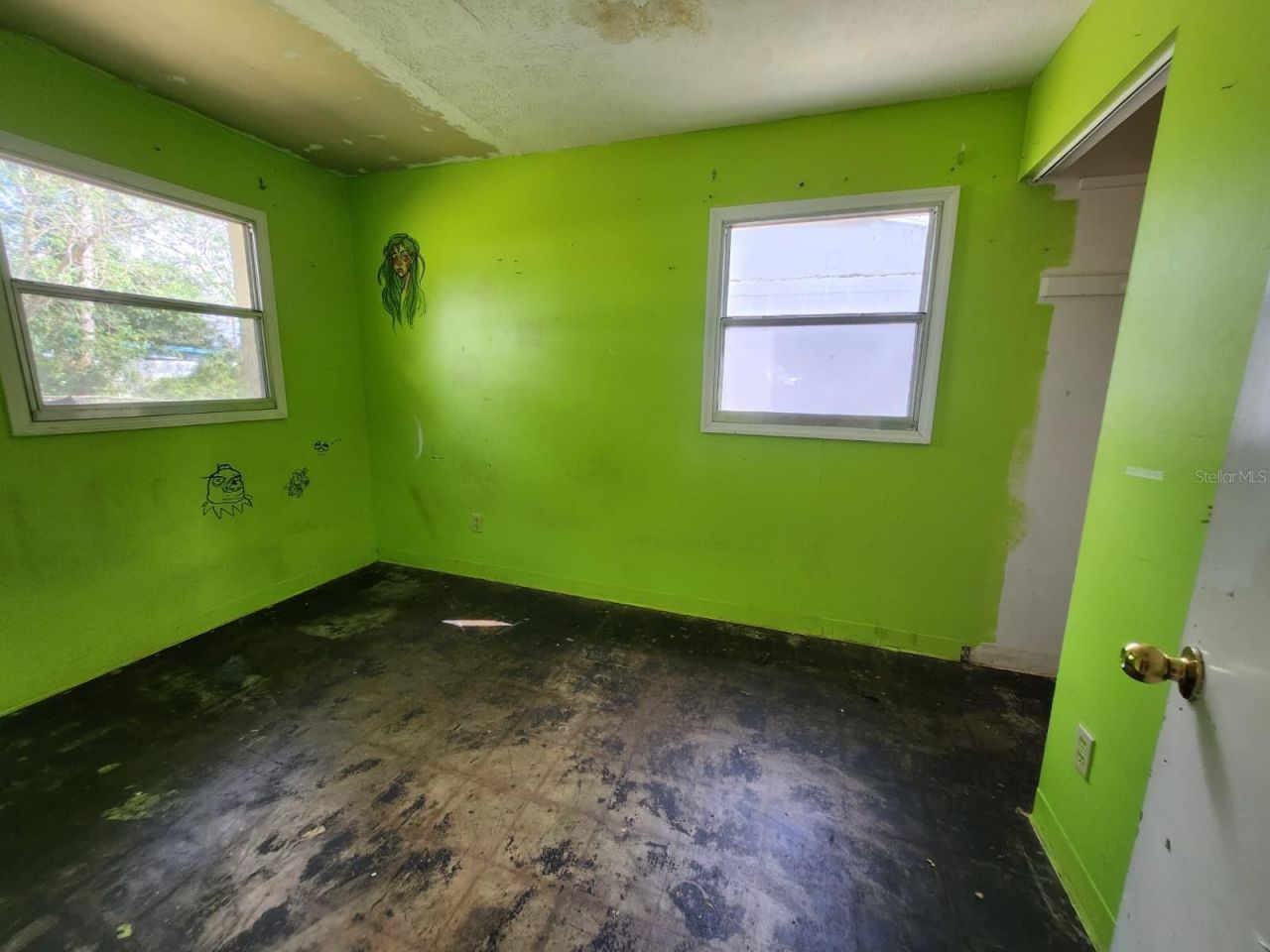 910 Emerald Drive , Mount Dora, FL 32757 Photo